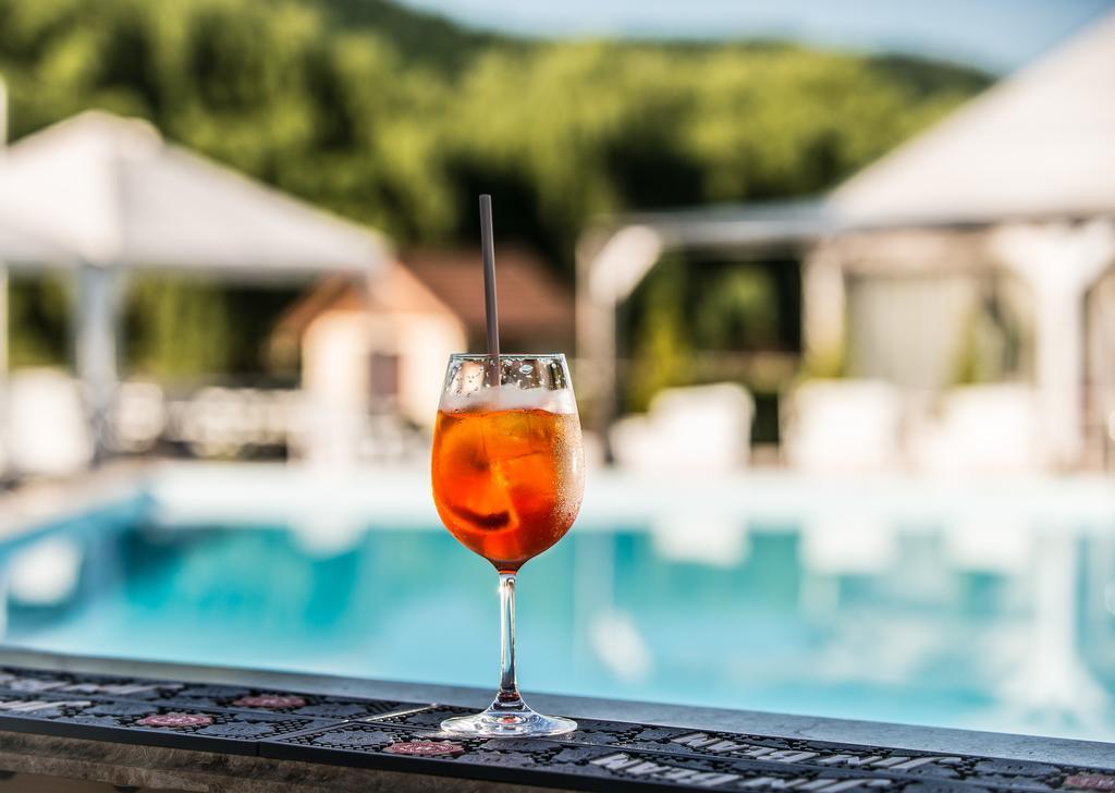 Hotel Conacul Archia Deva Zewnętrze zdjęcie